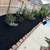 Pool landscaping Austin